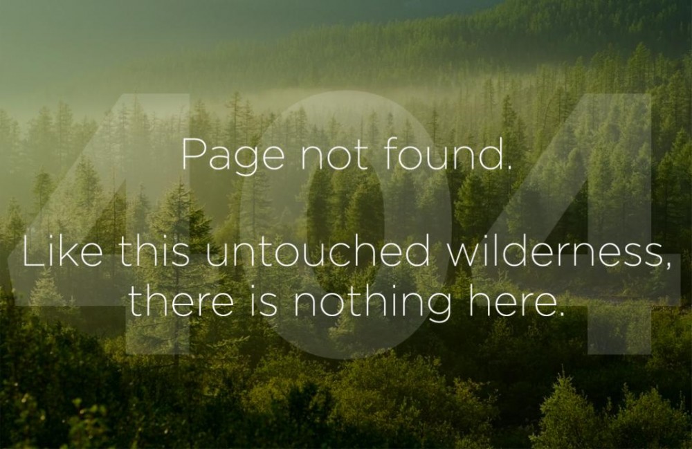 Forrest with words, "Page not found. LIke this untouched wilderness, there is nothing here."